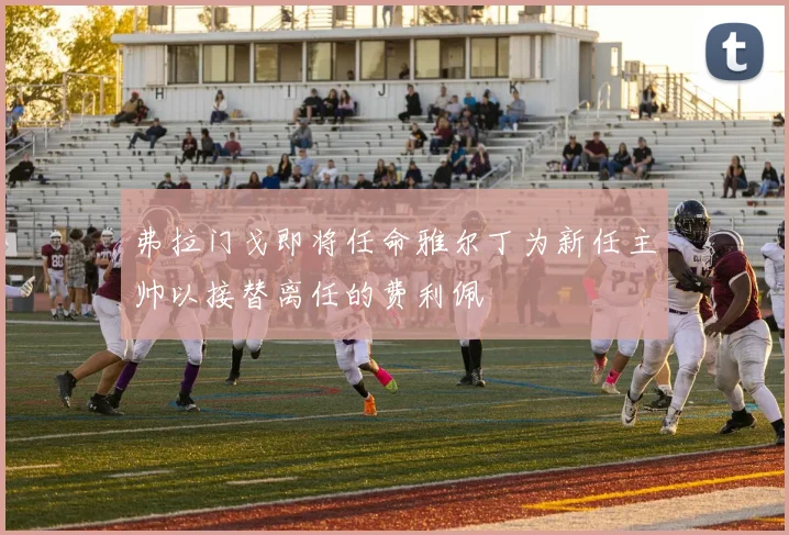 弗拉门戈即将任命雅尔丁为新任主帅以接替离任的费利佩