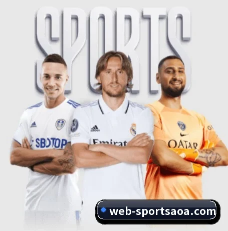 AOA体育 APP 界面